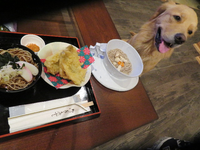 ファイル 7439-5.jpg