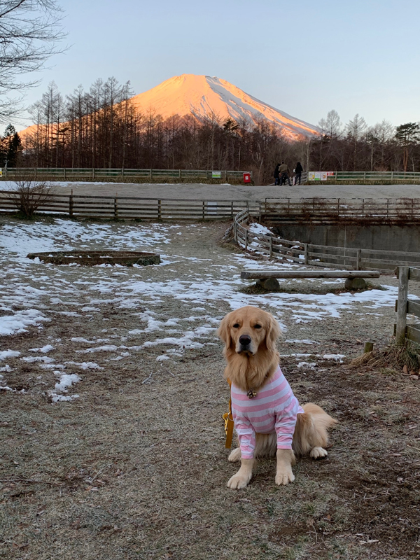 ファイル 7440-5.jpg