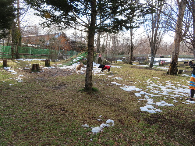 ファイル 7441-3.jpg