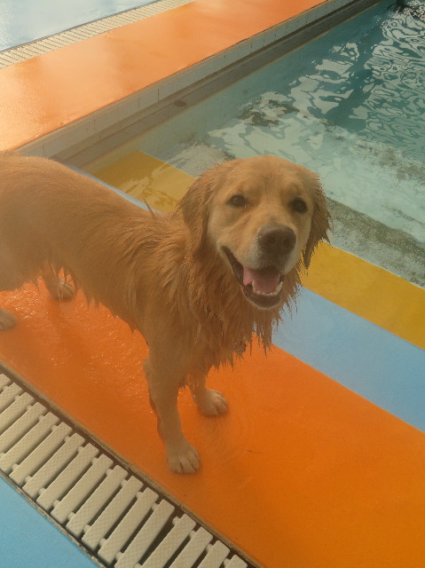 ファイル 7441-5.jpg