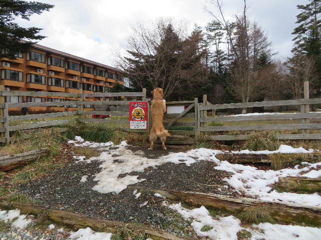 ファイル 7443-4.jpg