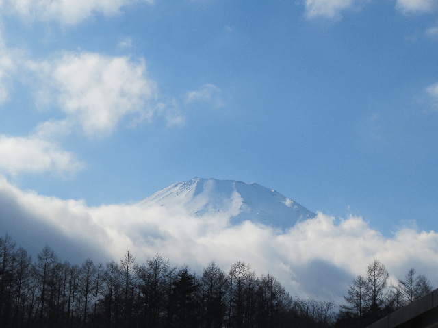 ファイル 7445-3.jpg