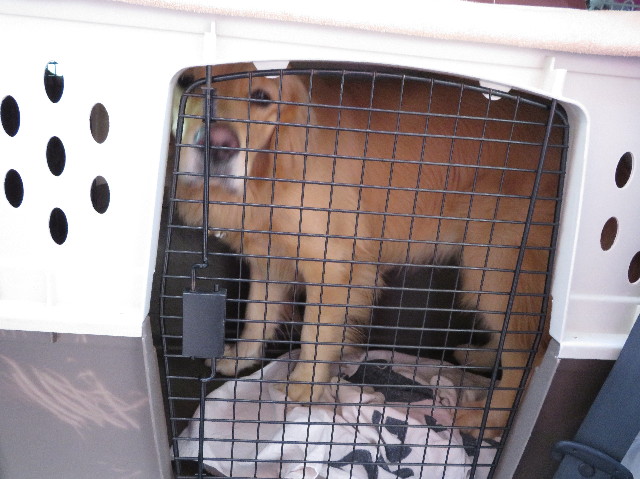 ファイル 7448-1.jpg