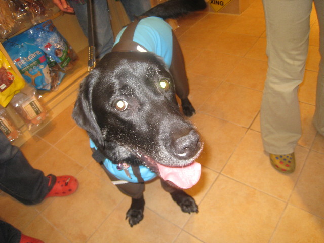 ファイル 745-1.jpg