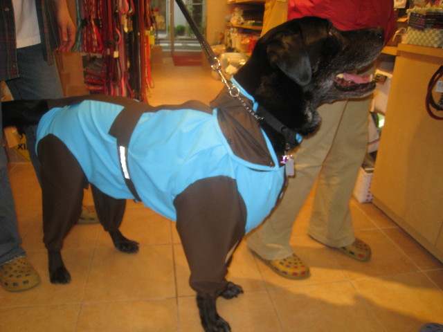 ファイル 745-2.jpg