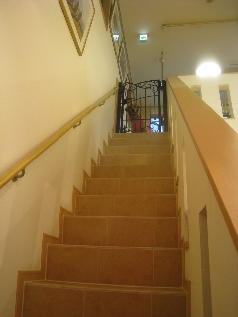 ファイル 745-3.jpg