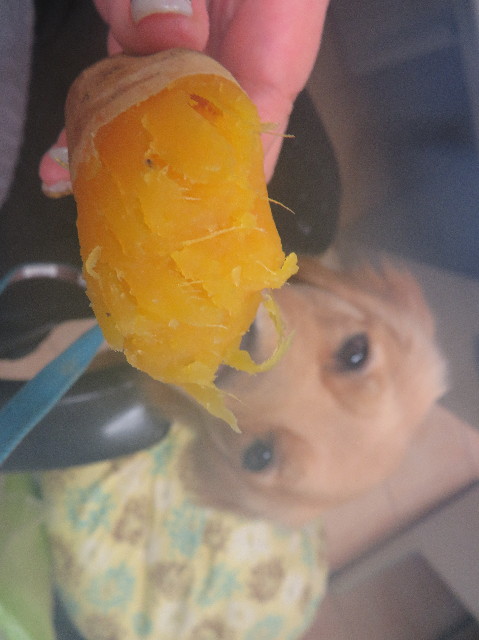 ファイル 7451-5.jpg