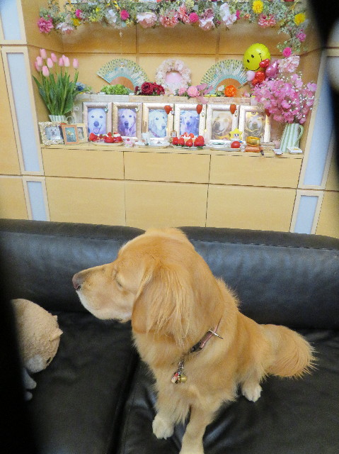 ファイル 7452-3.jpg