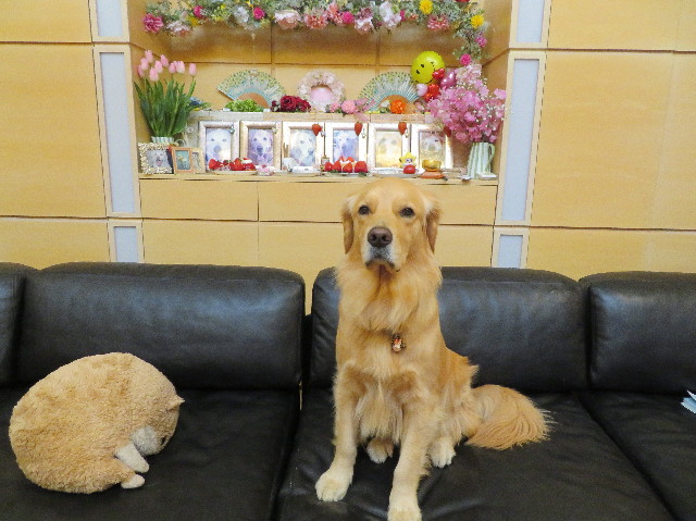 ファイル 7452-5.jpg