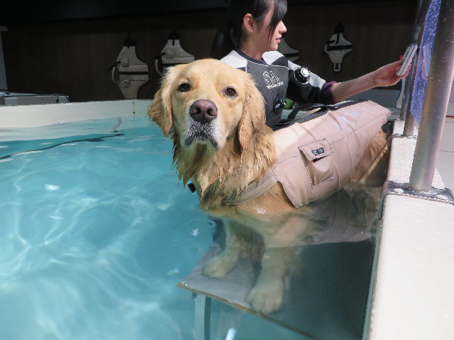 ファイル 7453-1.jpg