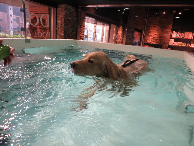 ファイル 7453-2.jpg