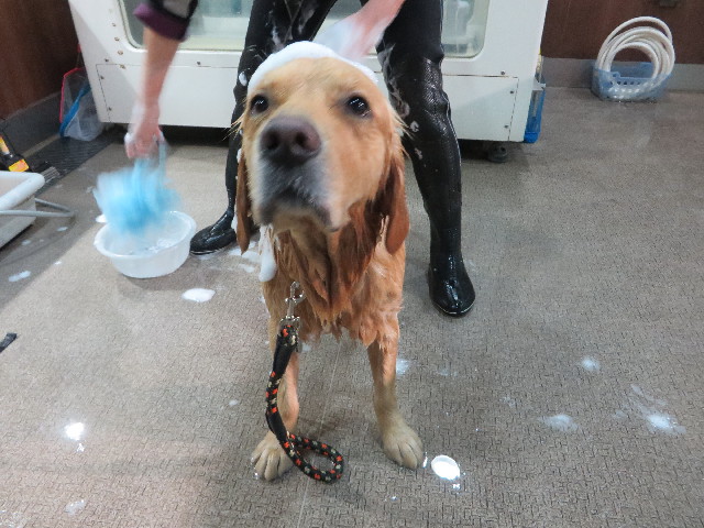 ファイル 7453-5.jpg