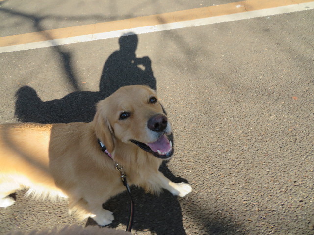 ファイル 7454-1.jpg