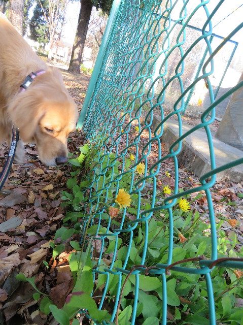 ファイル 7454-2.jpg