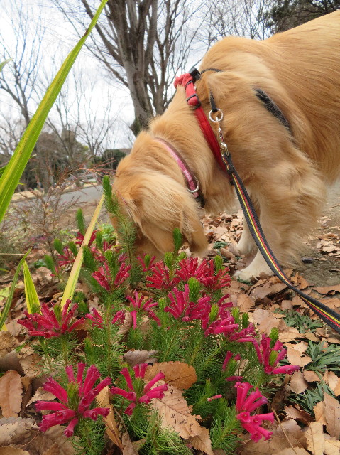 ファイル 7454-4.jpg