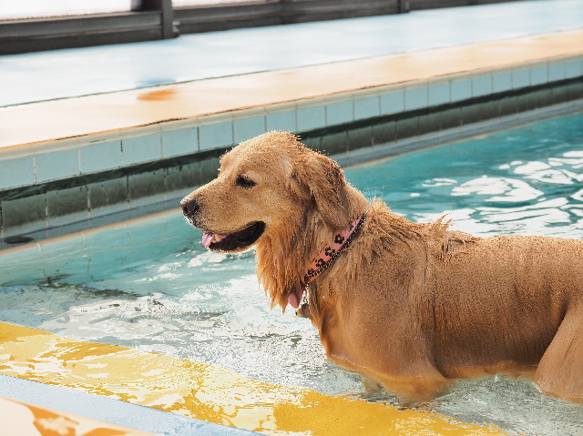 ファイル 7455-5.jpg