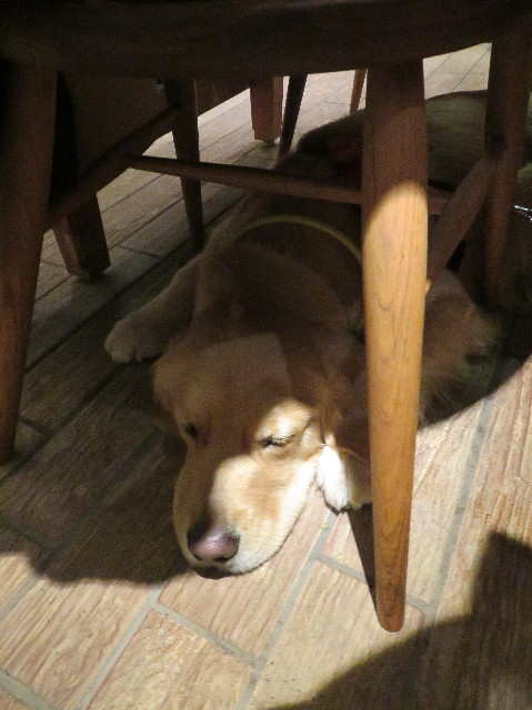 ファイル 7457-3.jpg