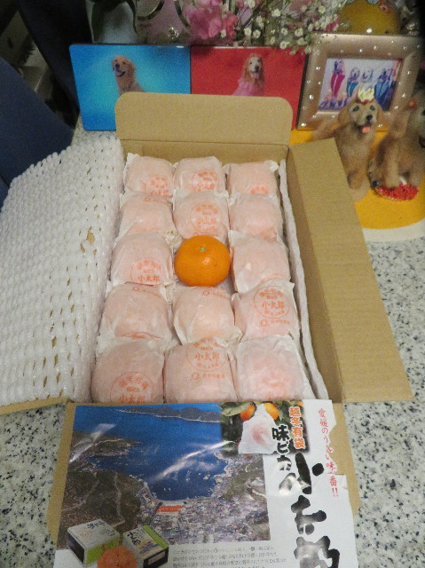 ファイル 7457-4.jpg