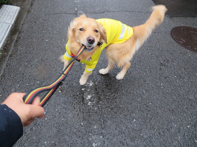 ファイル 7459-2.jpg