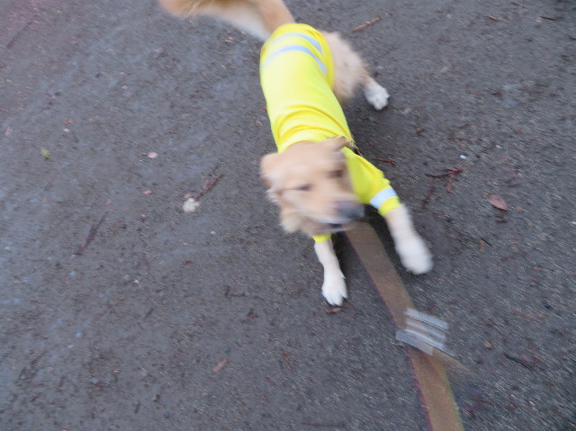 ファイル 7459-5.jpg