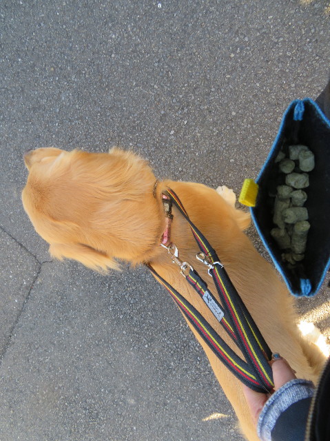 ファイル 7462-1.jpg