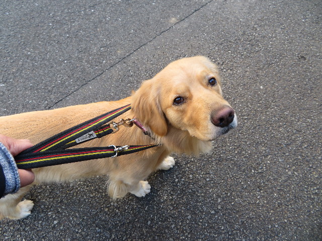 ファイル 7462-2.jpg