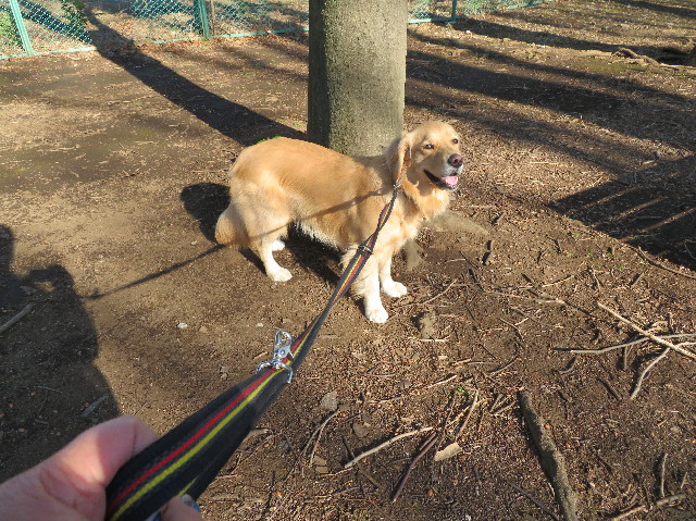 ファイル 7462-3.jpg