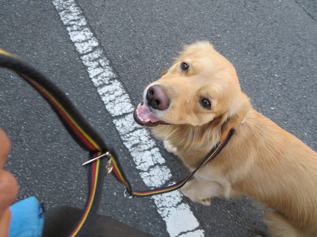 ファイル 7462-5.jpg