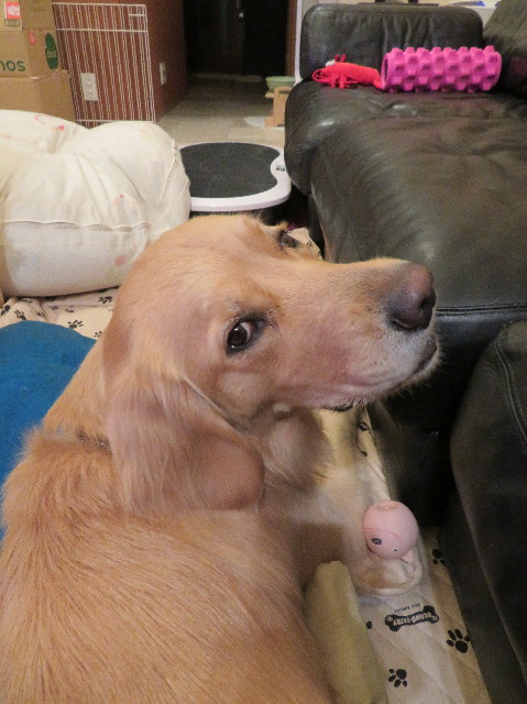 ファイル 7463-1.jpg