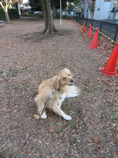 ファイル 7464-2.jpg