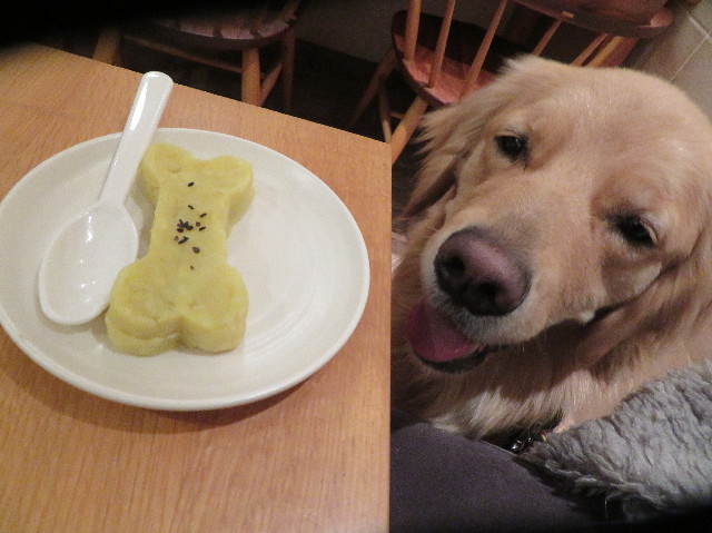 ファイル 7465-1.jpg