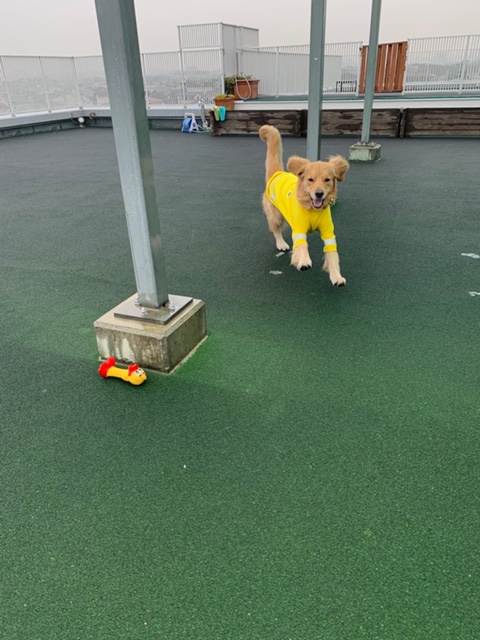 ファイル 7466-4.jpg