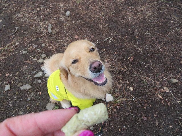 ファイル 7468-3.jpg