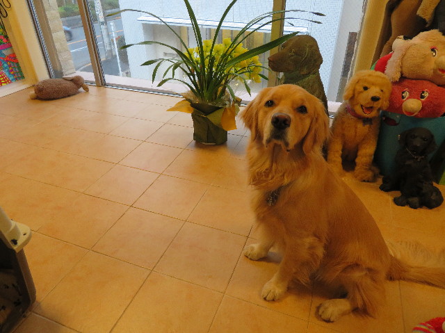 ファイル 7468-5.jpg