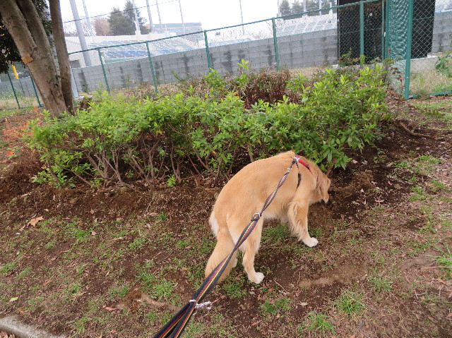 ファイル 7469-3.jpg