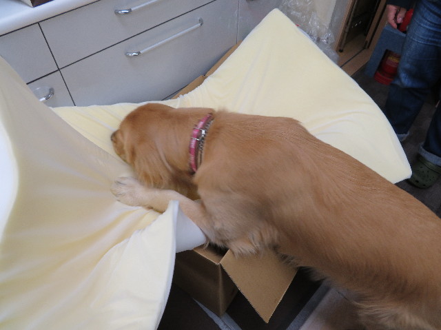 ファイル 7469-4.jpg