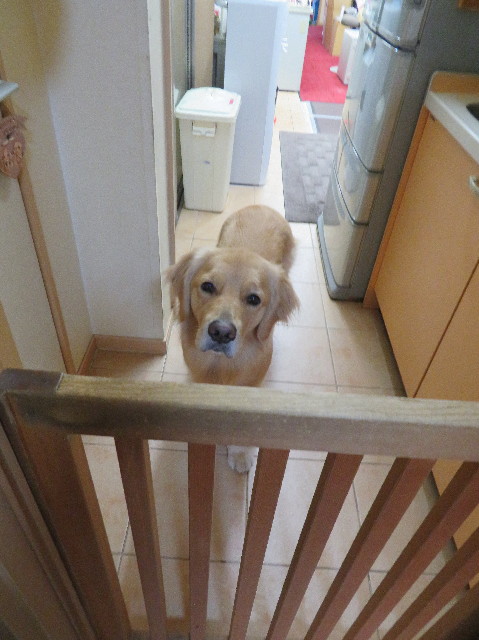 ファイル 7469-5.jpg