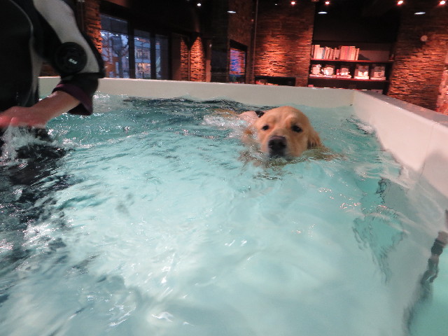 ファイル 7470-3.jpg