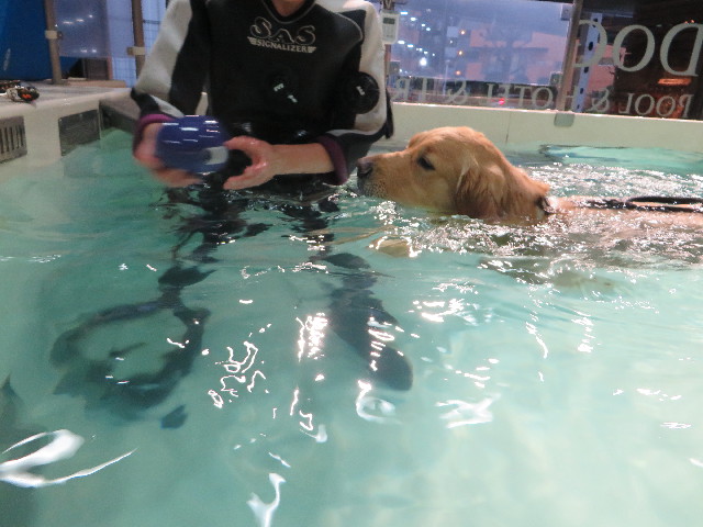 ファイル 7470-4.jpg