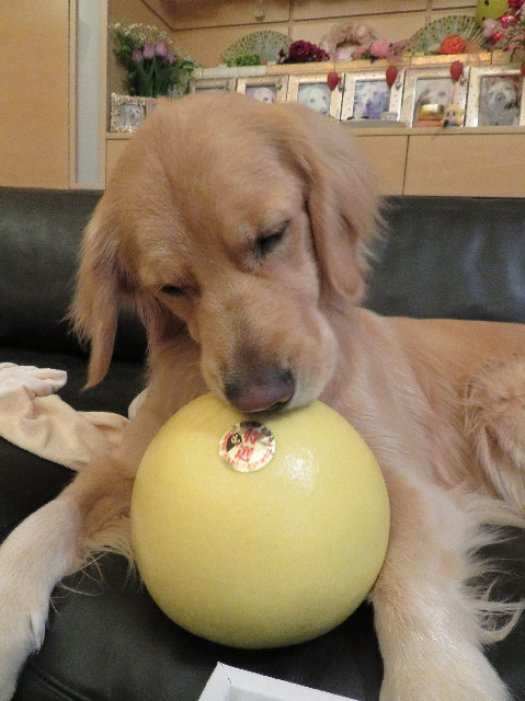 ファイル 7471-1.jpg