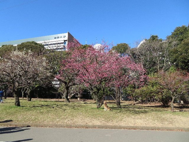 ファイル 7473-5.jpg