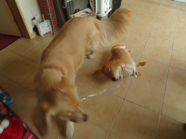 ファイル 7474-2.jpg