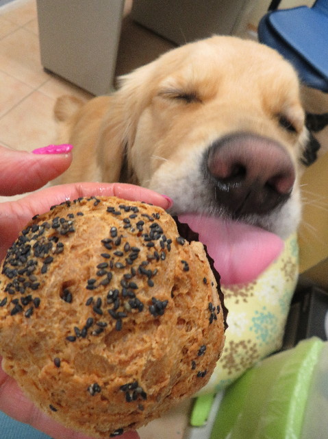 ファイル 7474-5.jpg