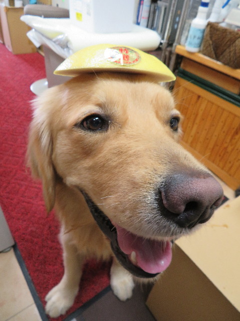 ファイル 7475-1.jpg