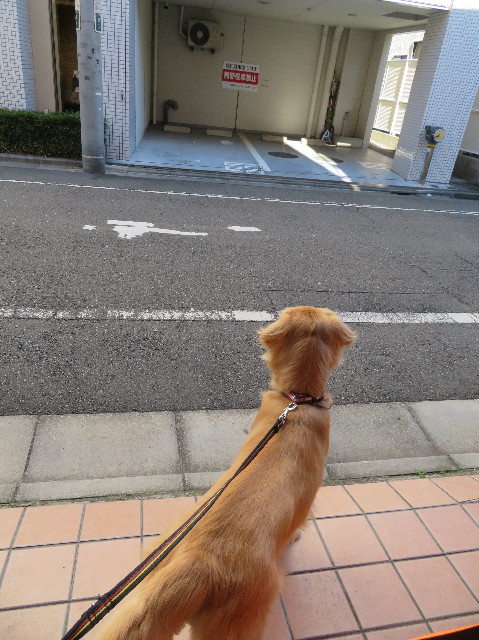 ファイル 7476-1.jpg