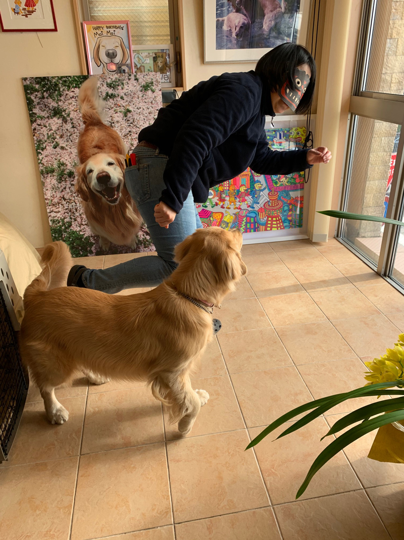 ファイル 7478-5.jpg