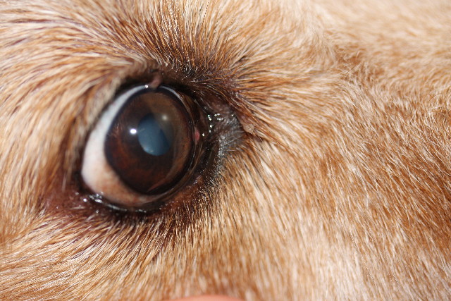 ファイル 748-3.jpg