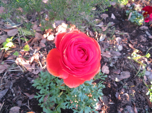 ファイル 7480-5.jpg