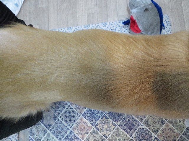 ファイル 7481-2.jpg