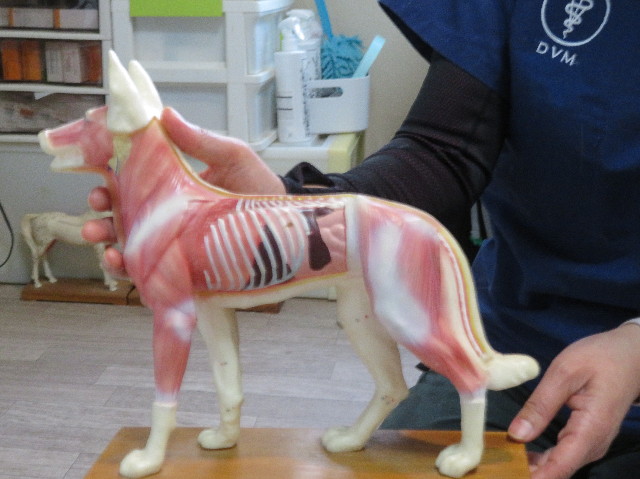 ファイル 7481-4.jpg